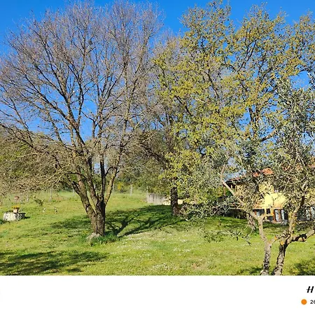 Il Melarancio Monterosi